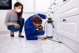 Best Bed Bug Extermination  in Southside Place, TX